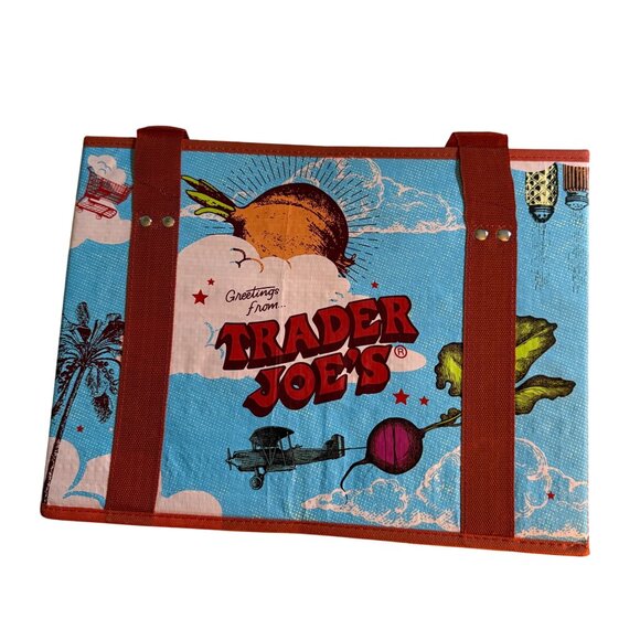 NWT Trader Joe’s stand-Up Collapsible Reusable Hard Side Sturdy  Grocery Bag-E - Picture 1 of 6